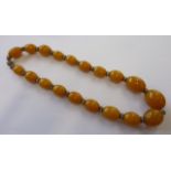 An unusual circa 1920 Necklace of graduated butterscotch coloured amber beads,
