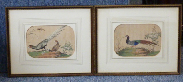 A pair of 19th century Oriental Watercolours on silk depicting exotic birds, the Parker Gallery,