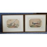 A pair of 19th century Oriental Watercolours on silk depicting exotic birds, the Parker Gallery,