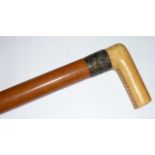 A late 19th century gentleman's ivory handled malacca Cane Walking Stick,