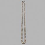 COLLIER PERLES FINES