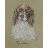 S WILSON FITZGERALD - Rex Withers, portrait of a Springer Spaniel, pastel, titled signed and dated