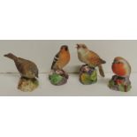 Four Royal Worcester porcelain birds, matt glaze - Nightingale 9cms high; Hedge Sparrow 6.5cms high;