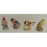 Four Royal Worcester porcelain birds, matt glaze - Waxwing 9cms high; Goldfinch 6cms high; Wood