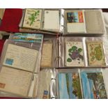 FOUR ALBUMS CONTAINING A SELECTION OF 20TH CENTURY POSTCARDS