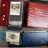 5 POST CARD ALBUMS WITH FOREIGN & BRITISH CARDS INCLUDING CANTERBURY, OAKLEY, MEXICO, CYPRUS,