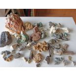 SELECTION OF SHELLS,