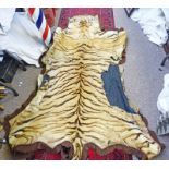 TIGER SKIN RUG SEVERALLY DISTRESSED 280 X 180CM