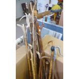 SELECTION OF HORN HANDLED WALKING STICKS ETC