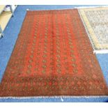 WASH RED AFGHAN DOUBLE KNOT RUG 250 X 160CM