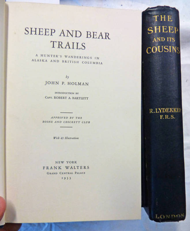 SHEEP AND BEAR TRAILS BY JOHN P. HOLMAN - 1933. THE SHEEP AND ITS COUSIN BY R.