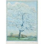 Piers Browne (b.1949) ''Lovliest of Trees...'' Signed in pencil and dated (19)82, inscribed and