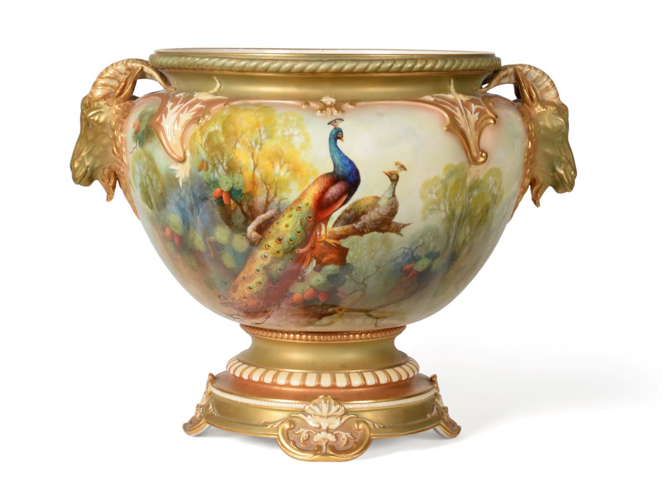 A Royal Worcester Porcelain Jardinière, 1911, painted by A Shuck with peacocks and hens perched in