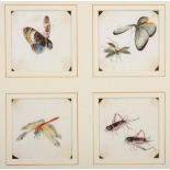 A Set of Sixteen Chinese Pith Paintings, 19th century, as studies of butterflies and other