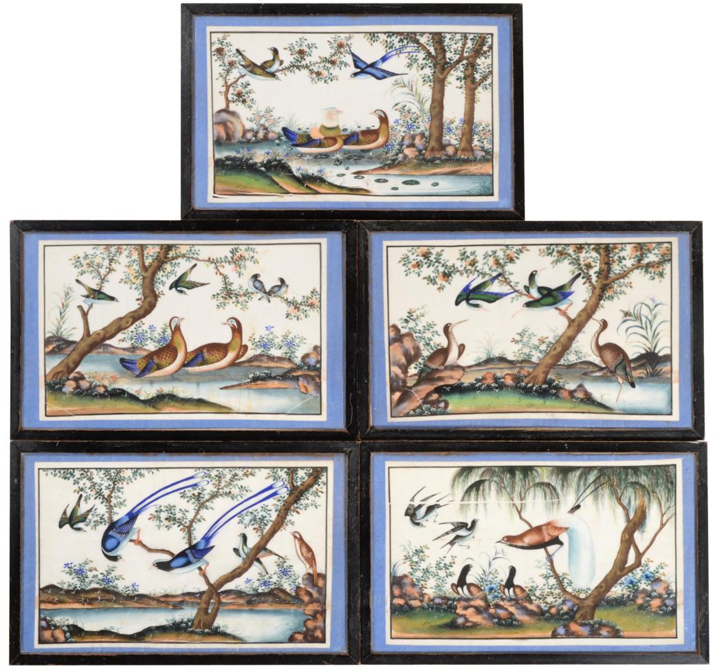 A Set of Five Chinese Pith Paintings, 19th century, depicting birds in landscape, 18cm by 29.5cm See