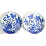 A Pair of Chinese Porcelain Saucer Dishes, painted in underglaze blue with flowers and rockwork,