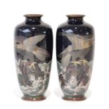 A Pair of Japanese Cloisonné Enamel Baluster Vases, Meiji period, decorated with eagles perched on