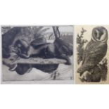 Charles Frederick Tunnicliffe RA, RE, ARCA (1901-1979) Barn Owl Signed in biro, etching, together