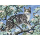 Charles Frederick Tunnicliffe RA, RE, ARCA (1901-1979) Tabby cat on a branch amongst blossom Signed,