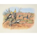 William T Cooper (1934-2015) Australian ''Cockatiels'' Signed and dated 1998, watercolour heightened
