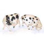 Lawson E Rudge: A Raku Pottery Gloucestershire Old Spot Pig, signed, 40cm long; and A Holstein