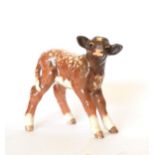 Beswick Shorthorn Calf, model No. 1406C, brown and white with shading gloss (a.f.) Crazing