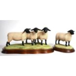 Border Fine Arts 'Suffolk Family Group' (Ram with Gimmer and Ewe Lambs), model No. B0197 by Ray