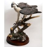 Border Fine Arts 'Prince of the Loch' (Osprey), model No. B0651 by Richard Roberts, limited