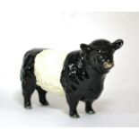Beswick Galloway Bull - Belted, model No. 1746B, black and white glossHeavy crazing throughout,