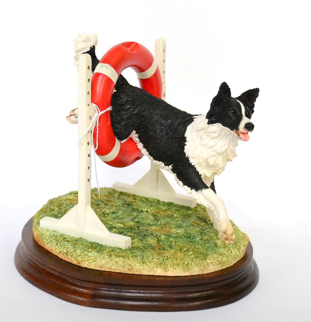 Border Fine Arts 'Through The Hoop' (Border Collie), model No. B0953 by Margaret Turner, limited