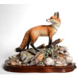 Border Fine Arts Fox Models Comprising: 'Duke and Duchess' (Fox and Vixen), model No. FT05 by