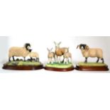 Border Fine Arts 'Swaledale Tup' (The Monarch of the Dales), model No. L148 by Ray Ayres, limited