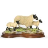 Border Fine Arts 'Mule Ewe and Lambs', model No. EG03 by Mairi Laing Hunt, limited edition 228/1500,