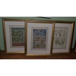 After Verneuil, three hand coloured lithographic botanical plates (3)