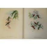 John Gould (British, 1804-1881) HUMMINGBIRDS Delattria Viridipallens; Nectarinia Insignis;