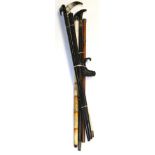 Two early 20th century horn handle section ivory canes, two 19th century African carved ebony