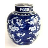 A Chinese porcelain ginger jar and cover, 19th century, of ovoid form, painted in underglaze blue