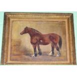 Robert Smellie, oil on canvas, study of a horse, in a gilt frame