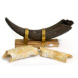 Aurochs Fossilised Horn on oak base with brass retaining straps 54cm long, Mammoth Tusk in two