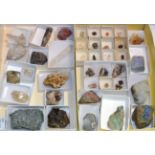 Five Trays of Numerous Worldwide Mineral Specimens, including Rutile-Quartz, Manganese Dendrite, a