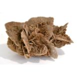 A Desert Rose Gypsum Specimen