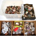 A Quantity of Miscellaneous Artifacts, Mineral Specimens and Scottish Agates (in five boxes)