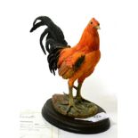 Cotswold Studio Arts 'Old English Gamecock', model No. CSA 067R by David Geenty, limited edition