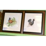 Two prints, grouse and pheasant, limited edition by Caroline Hatton