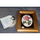A pair of 20th Century handpainted oval porcelain plaques with roses, framed and glazed; together