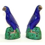 A Pair of Chinese Export Porcelain Figures of Parrots, Qing Dynasty, 19th century, with blue plumage