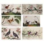 A Group of Six Chinese Export Pith Paper Paintings, 19th century, each painted with birds amongst