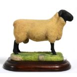 Border Fine Arts 'Suffolk Ram', model no. L40 by Ray Ayres, style one, limited edition 208/1250,
