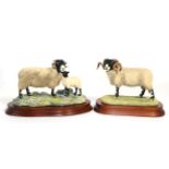 Border Fine Arts 'Swaledale Tup' (Monarch of the Dales), model No. L148 by Ray Ayres, limited