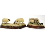 Border Fine Arts 'What Now?' (Swaledale Sheep and Collie), model No. L120 by Ray Ayres, limited